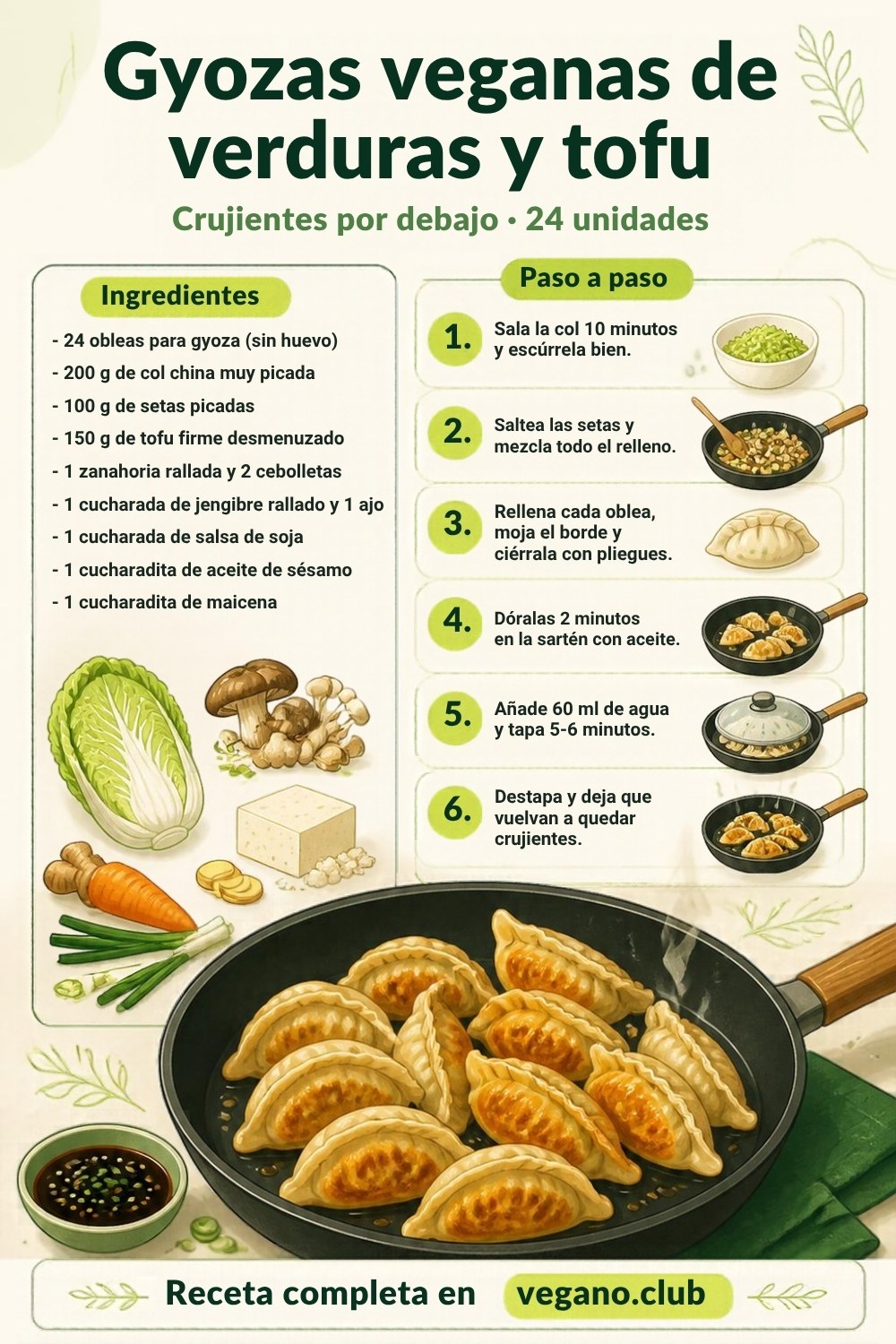 Infografía paso a paso: Gyozas veganas de verduras y tofu (crujientes por debajo)